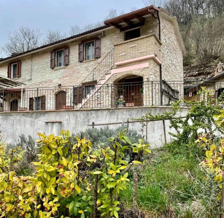 B&B Il Poggetto Serra Sant'Abbondio Exterior photo