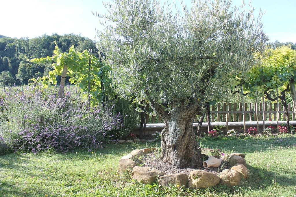 B&B Il Poggetto Serra Sant'Abbondio Exterior photo